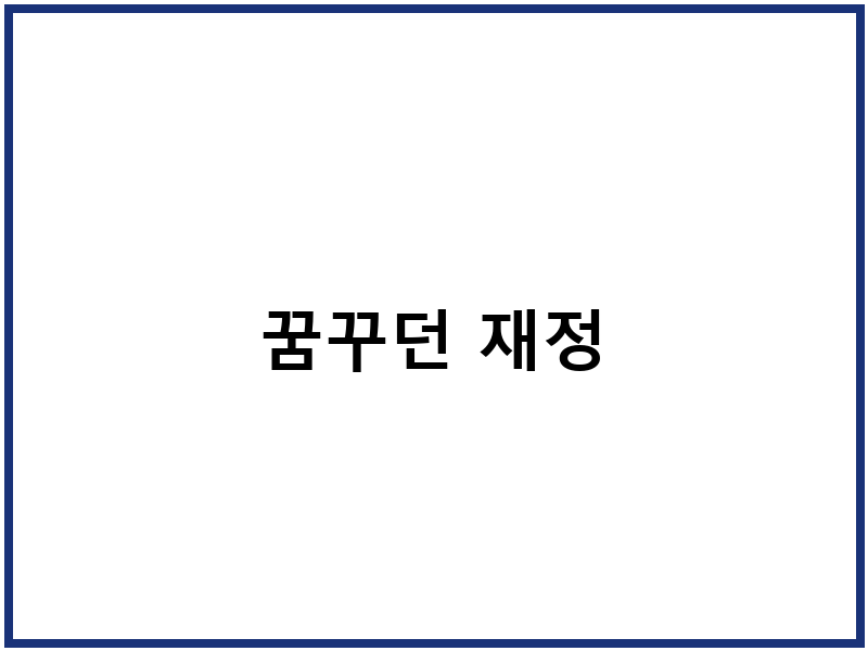 꿈꾸던 재정