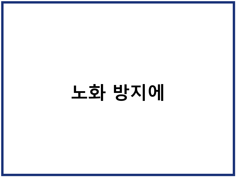 노화 방지에