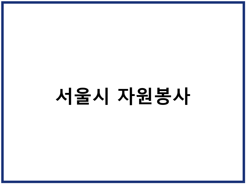 서울시 자원봉사