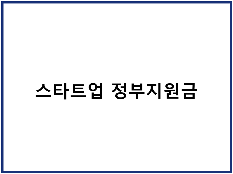 스타트업 정부지원금