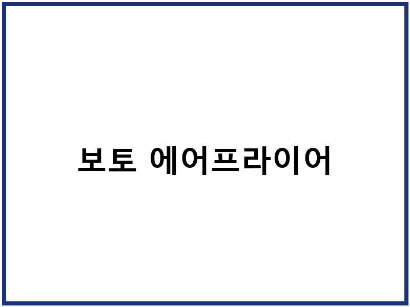 보토 에어프라이어