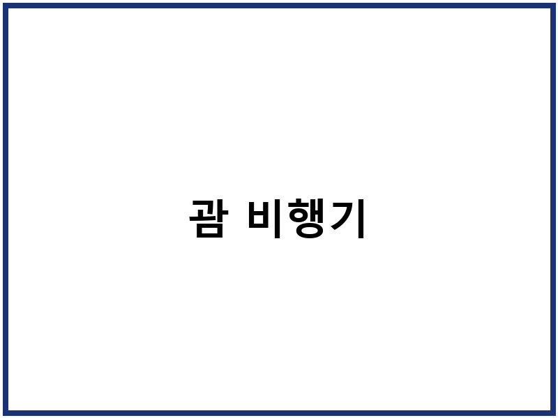 괌 비행기